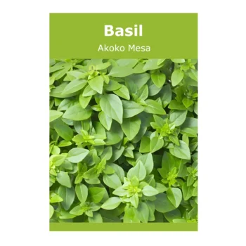 Basil Akoko Mesa