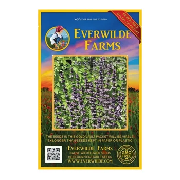 Basil Anise