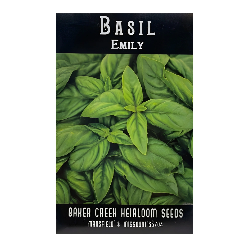 Basil Emily 1 Basil Emily