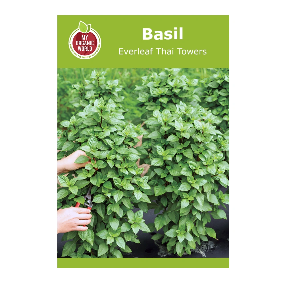 Basil Everleaf Thai Towers