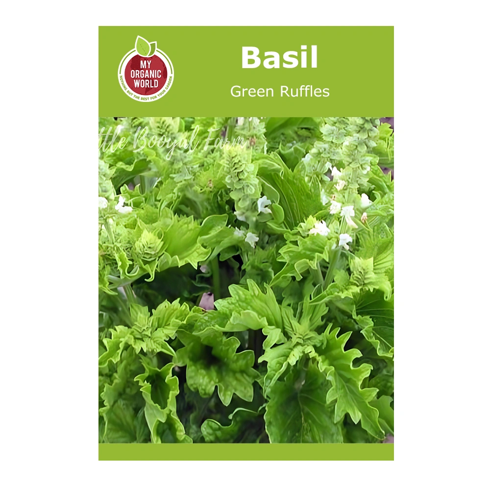 Basil Green Ruffles