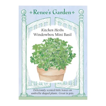 Basil Kitchen Herbs Windowbox Mini