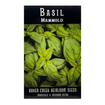Basil Mammolo