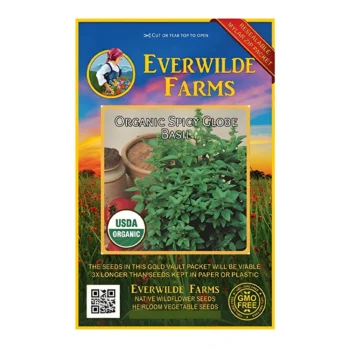 Basil Organic Spicy Globe