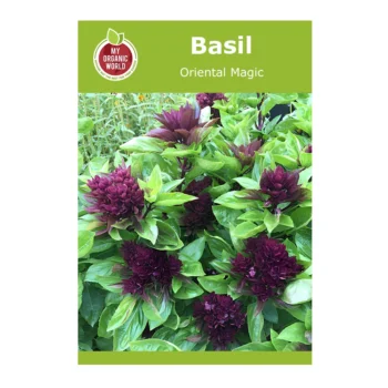 Basil Oriental Magic