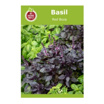 Basil Red Boza