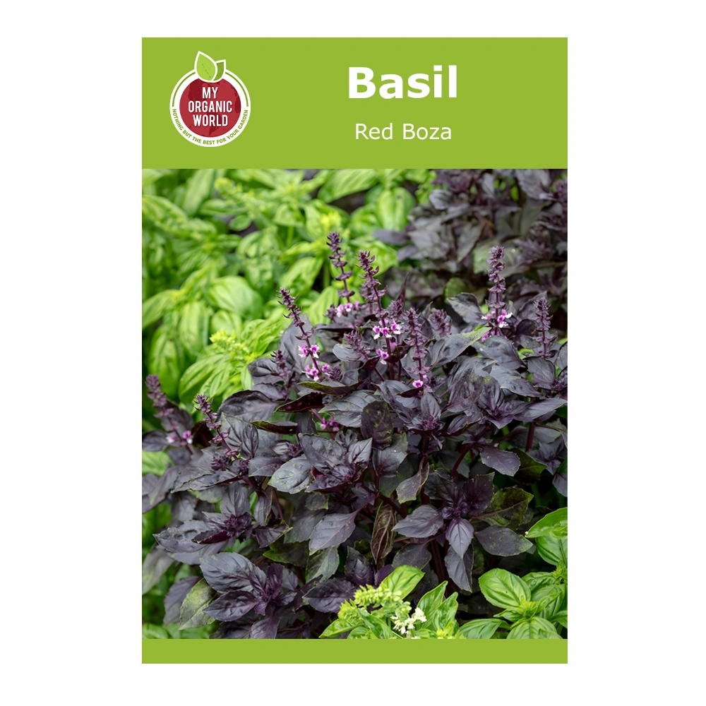 Basil Red Boza