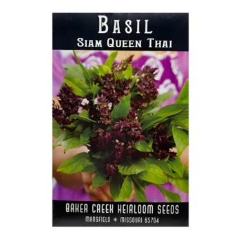 Basil Siam Queen Thai