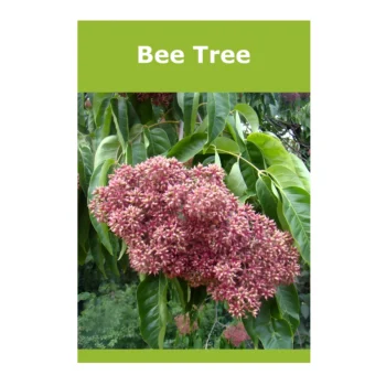 Bee Tree