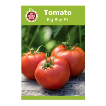Big Boy F1 Tomato seeds