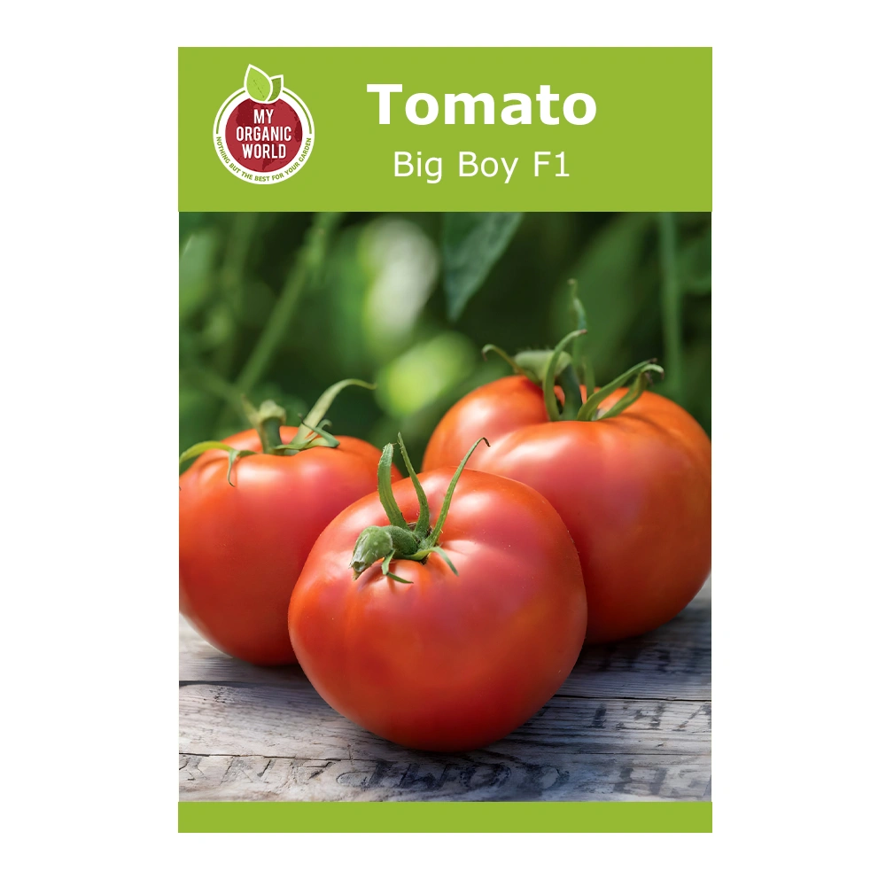 Big Boy F1 Tomato 1 Big Boy F1 Tomato seeds