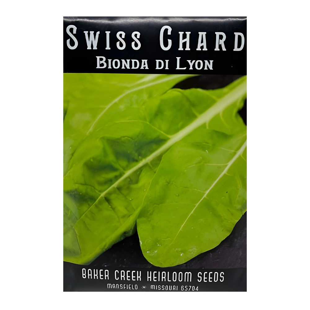 Bionda Di Lyon Swiss Chard 1 Bionda Di Lyon Swiss Chard seeds