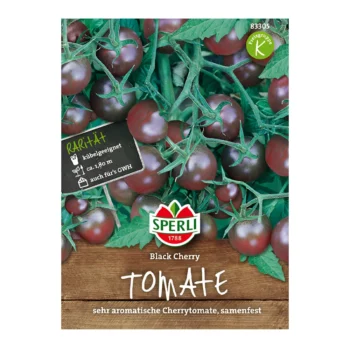 Black Cherry Tomato seeds