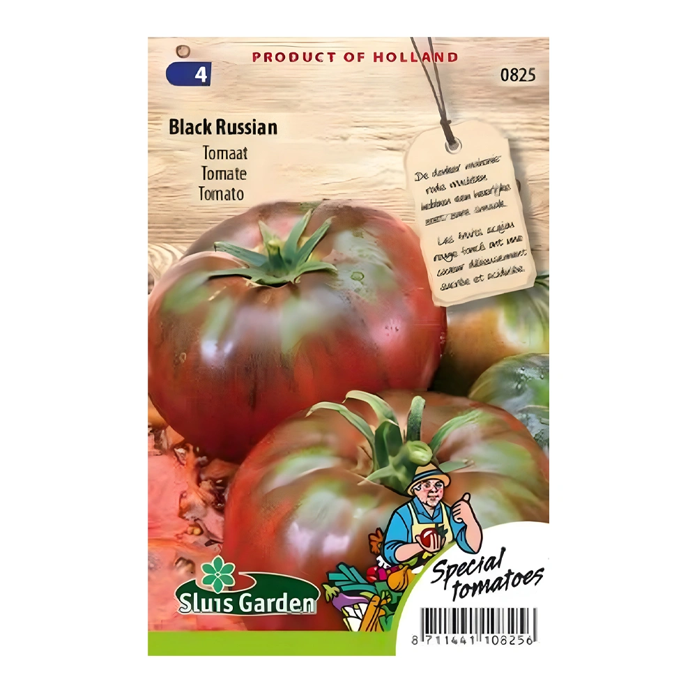 Black Russian Tomato 1 Black Russian Tomato seeds