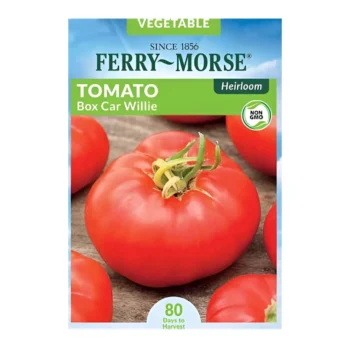 Box Car Willie Tomato seeds