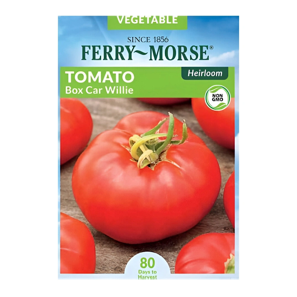 Box Car Willie Tomato 1 Box Car Willie Tomato seeds