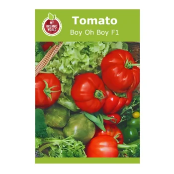Boy Oh Boy F1 Tomato seeds