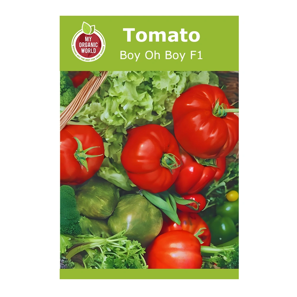 Boy Oh Boy F1 Tomato 1 Boy Oh Boy F1 Tomato seeds