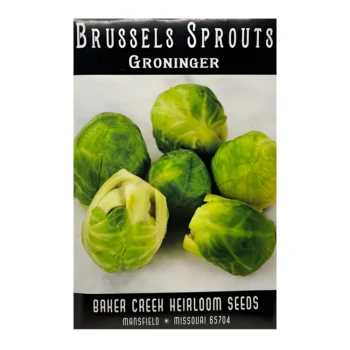 Brussels Sprout Groninger