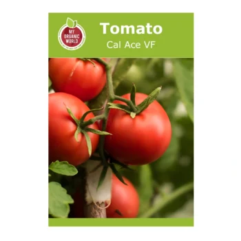 Cal Ace VF Tomato seeds