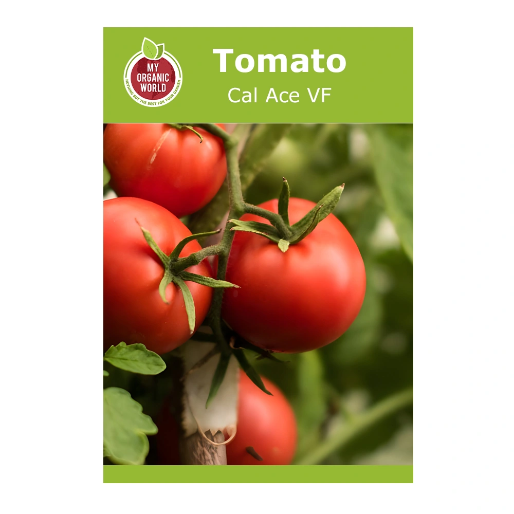 Cal Ace VF Tomato 1 Cal Ace VF Tomato seeds