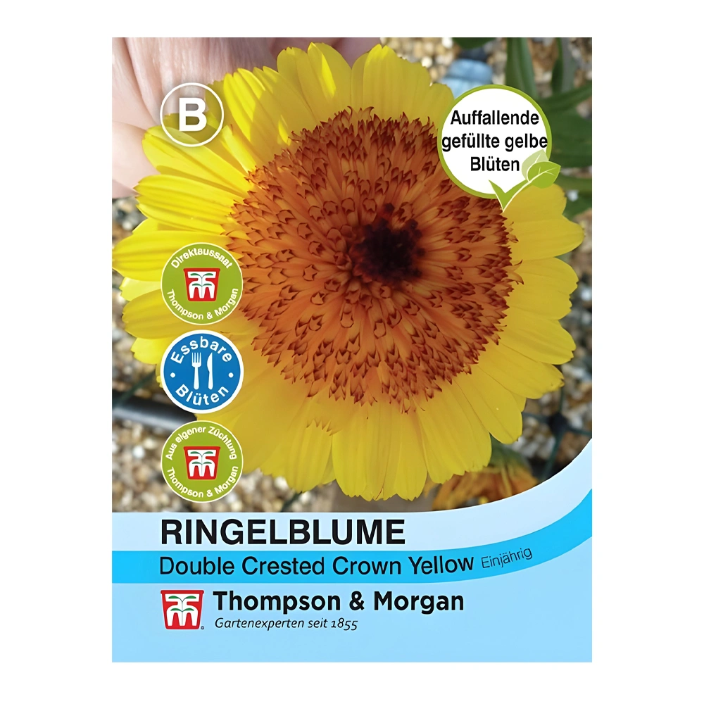 Calendula Double Crested ‘Crown Yellow’