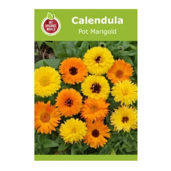 Calendula Pot Marigold