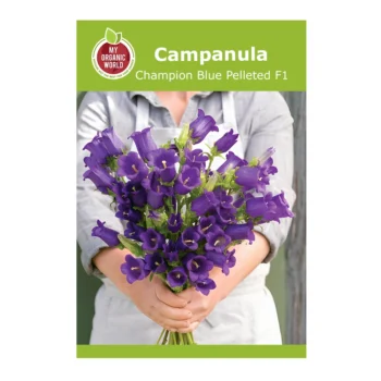 Campanula Champion Blue Pelleted F1