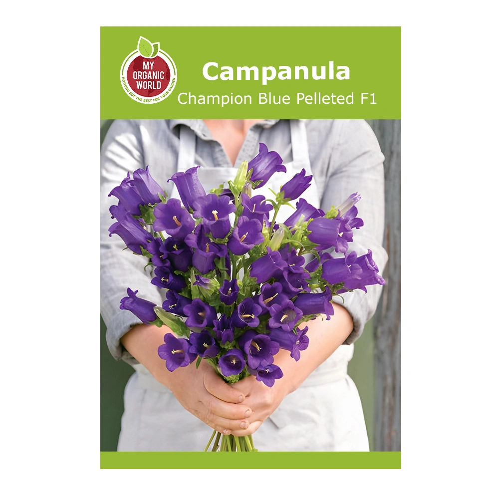 Campanula Champion Blue Pelleted F1 1 Campanula Champion Blue Pelleted F1