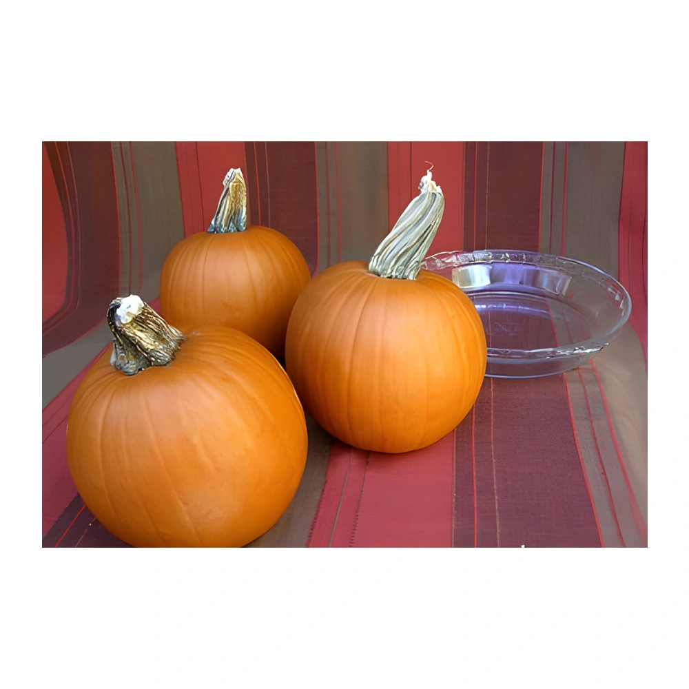 Spookie Carving & Pie Pumpkin seeds
