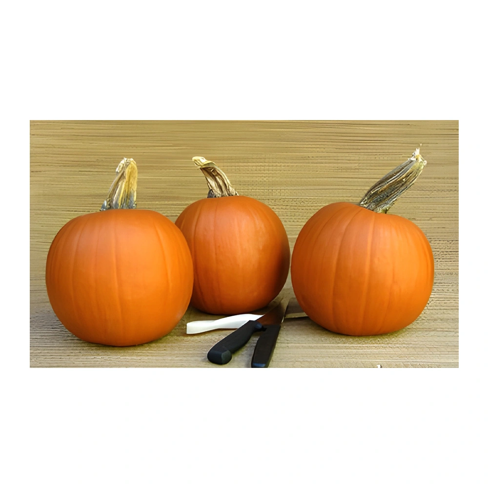 Spookie Carving & Pie Pumpkin seeds