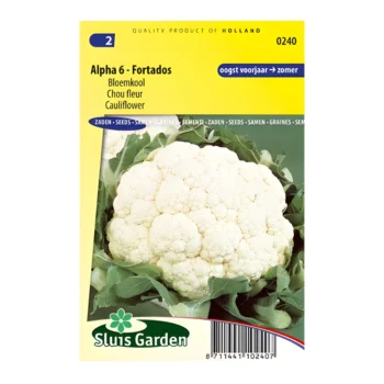 Cauliflower Alpha 6 Fortados