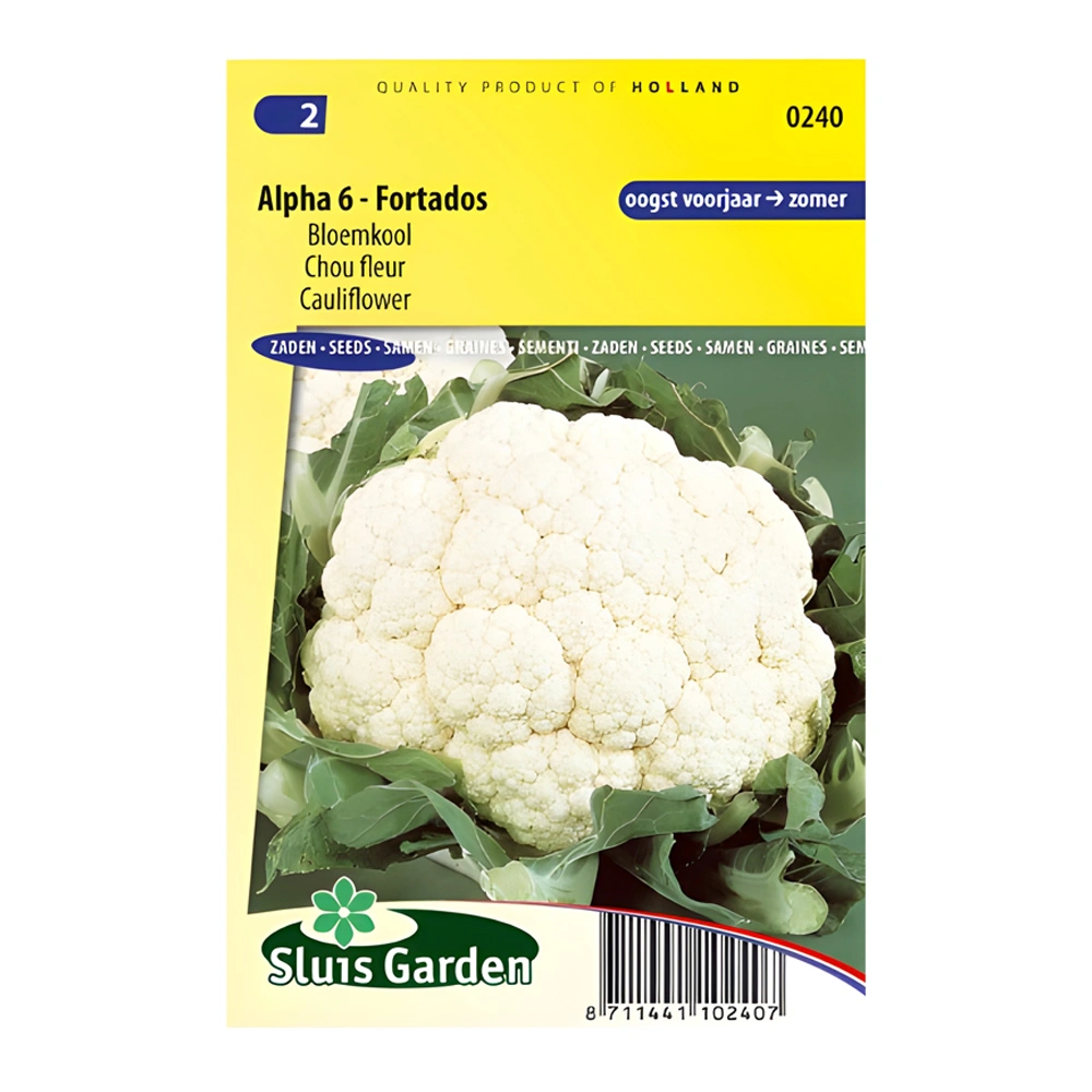 Cauliflower Alpha 6 Fortados 1 Cauliflower Alpha 6 Fortados