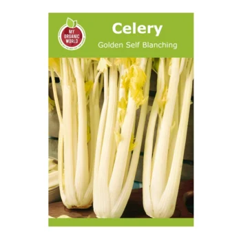 Celery Golden Self Blanching