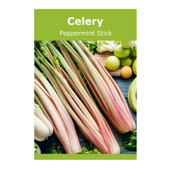 Celery Peppermint Stick