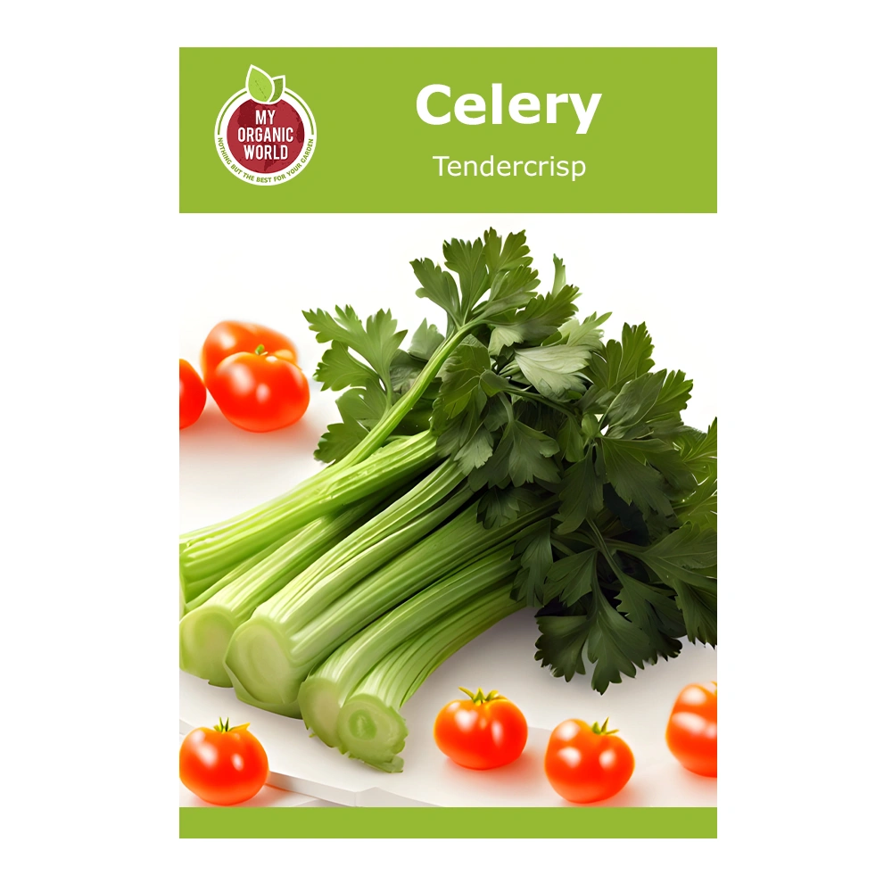 Celery Tendercrisp 1 Celery Tendercrisp
