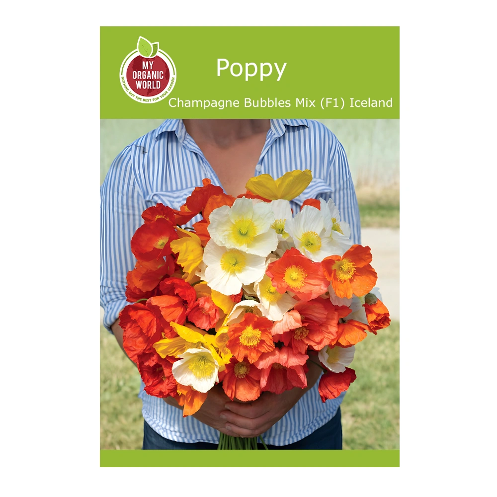 Champagne Bubbles Mix (F1) Iceland Poppy 1 Champagne Bubbles Mix (F1) Iceland Poppy seeds