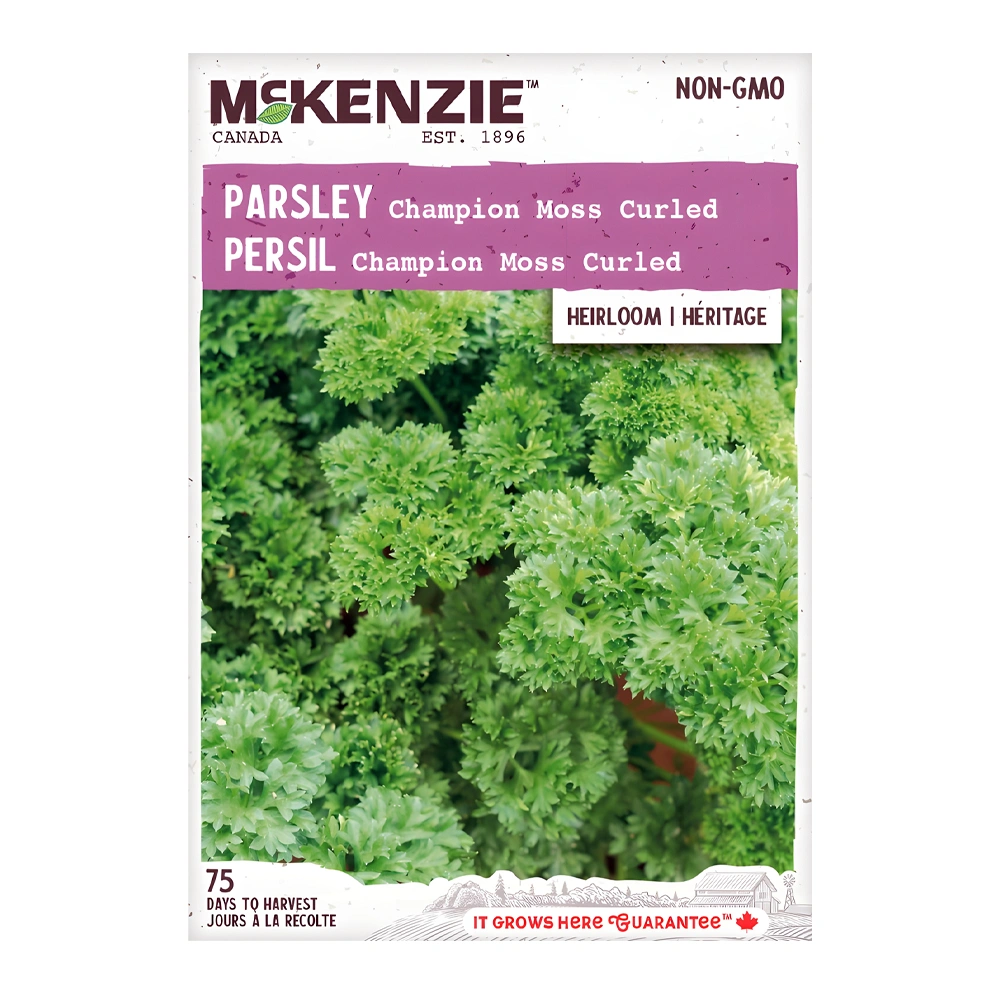 Champion Moss Curled Parsley 1 بذور البقدونس المجعد Champion Moss