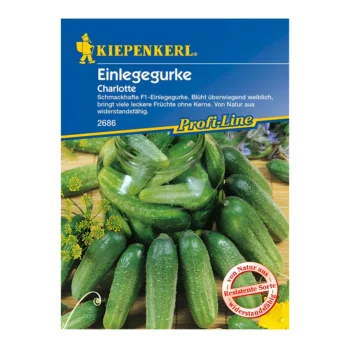 Charlotte F1 Pickling Cucumber seeds
