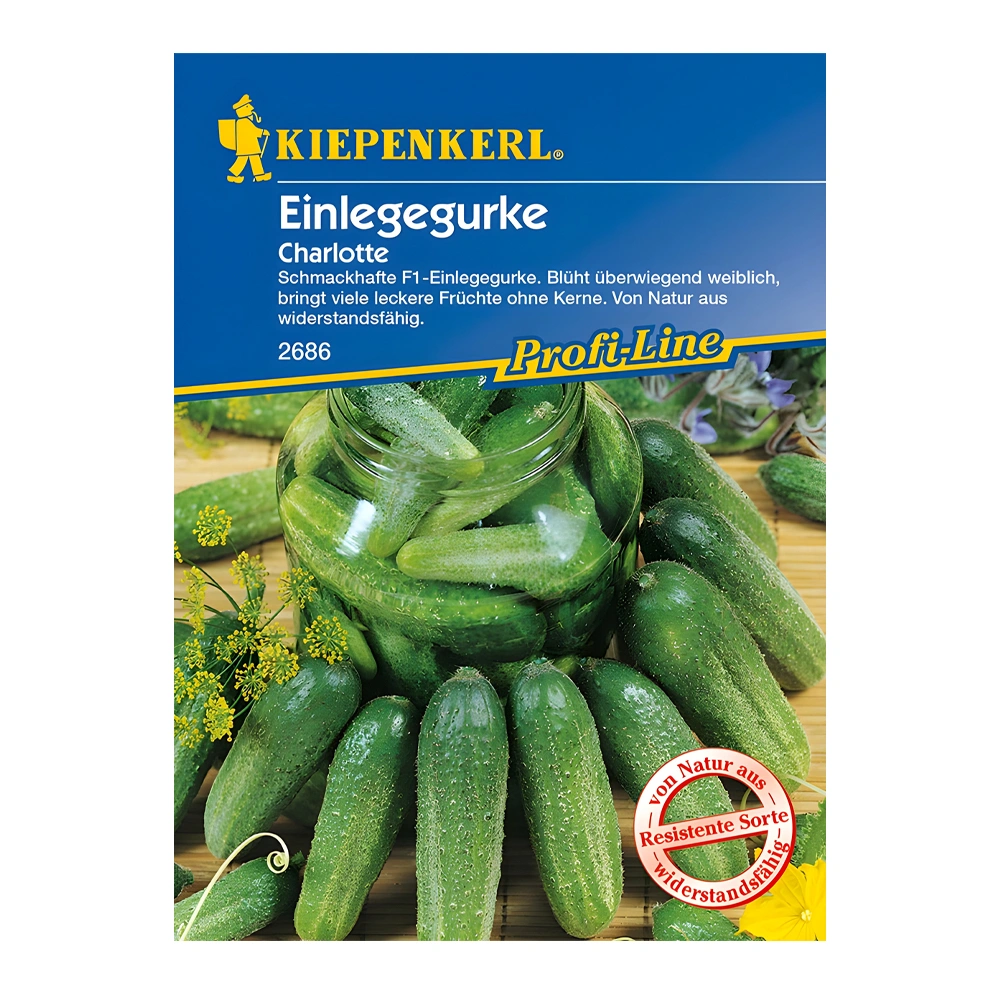 Charlotte F1 Pickling Cucumber 1 Charlotte F1 Pickling Cucumber seeds