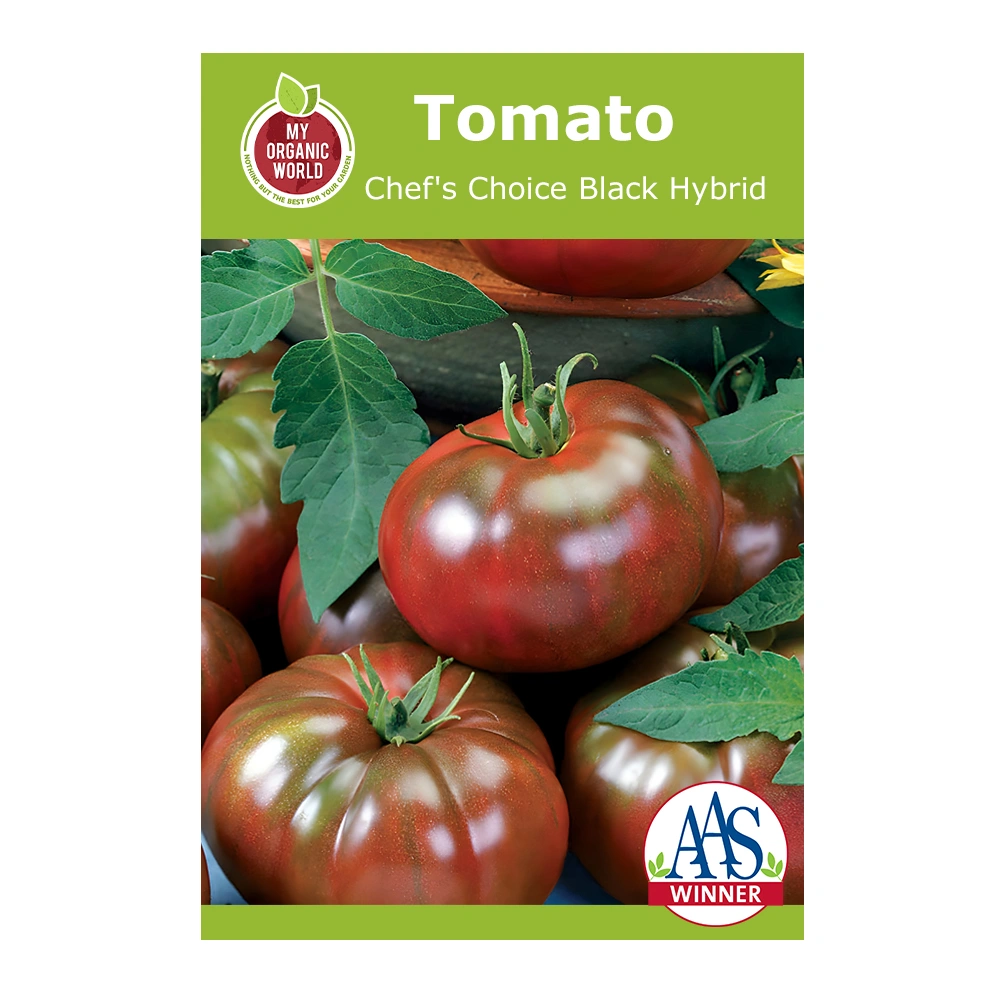 طماطم Chef's Choice Black Hybrid 1 بذور طماطم Chef’s Choice Black Hybrid