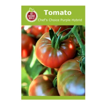 Chef's Choice Purple Hybrid Tomato seeds