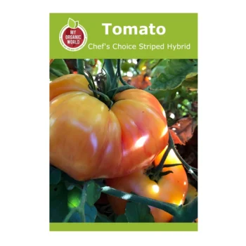 Chef's Choice Striped Hybrid Tomato seeds