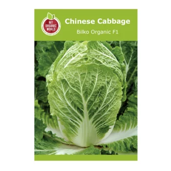 Chinese Cabbage Bilko Organic F1