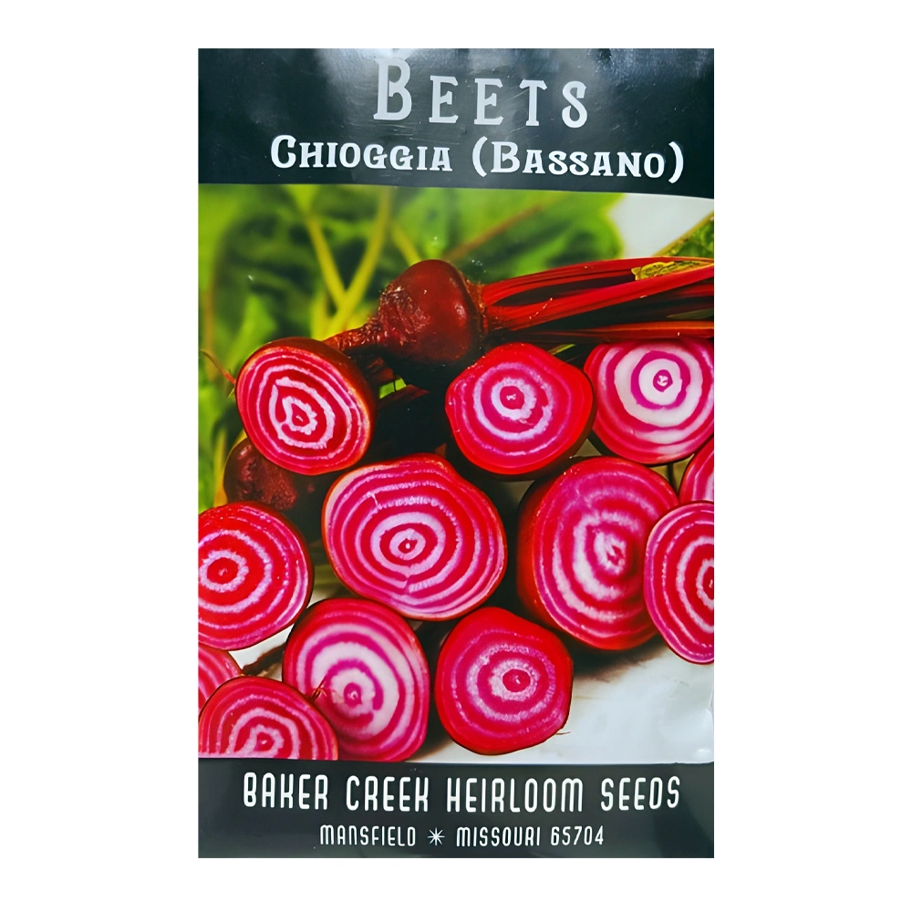 Chioggia (Bassano) Beet 1 Chioggia (Bassano) Beet seeds
