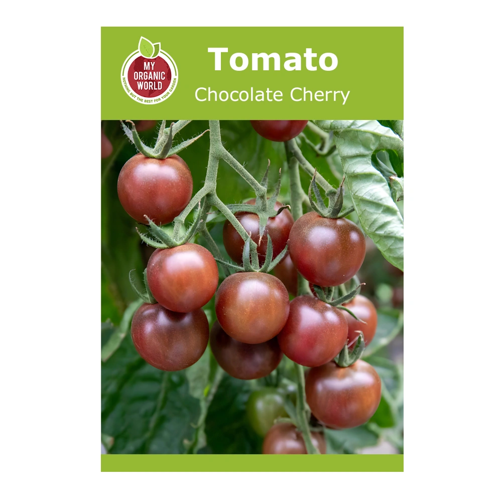 Chocolate Cherry Tomato 1 Chocolate Cherry Tomato seeds