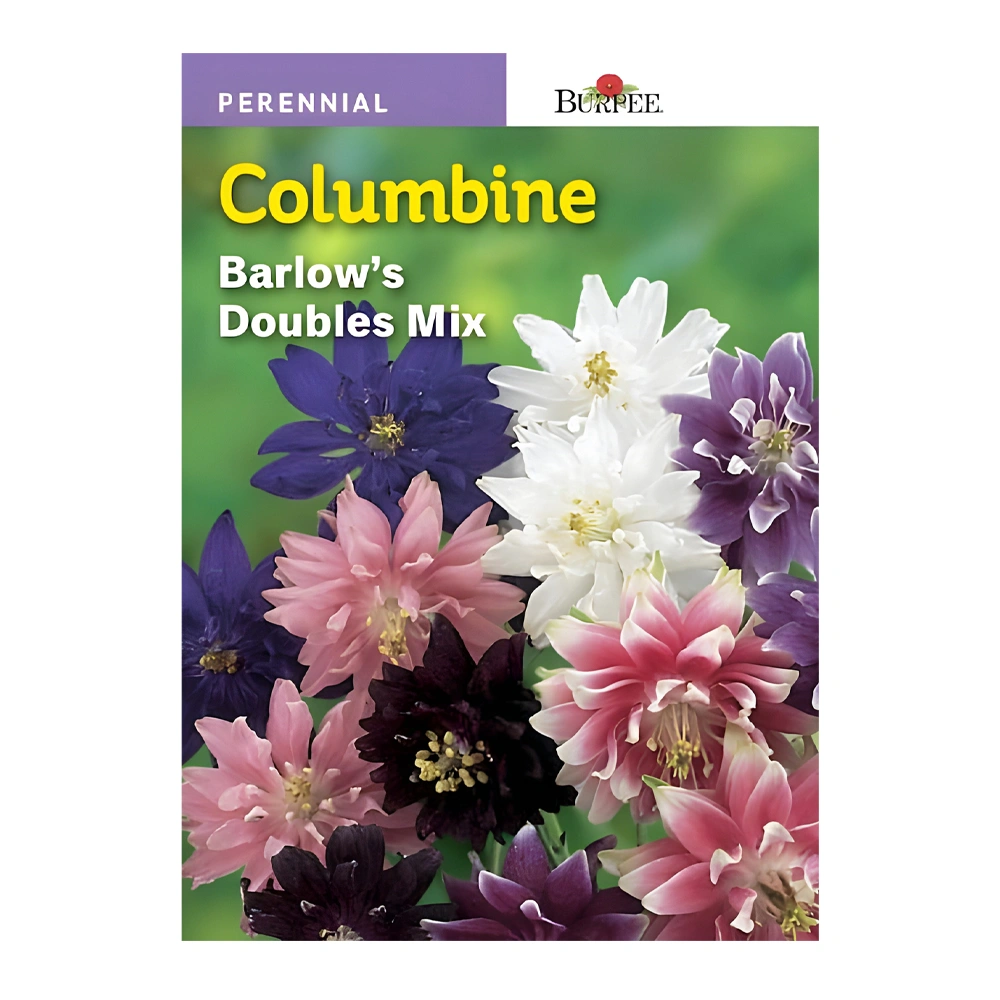 Columbine Barlow Doubles Mix 1 Columbine Barlow Doubles Mix seeds