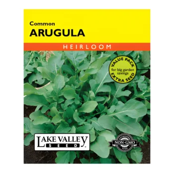 Common Arugula seeds