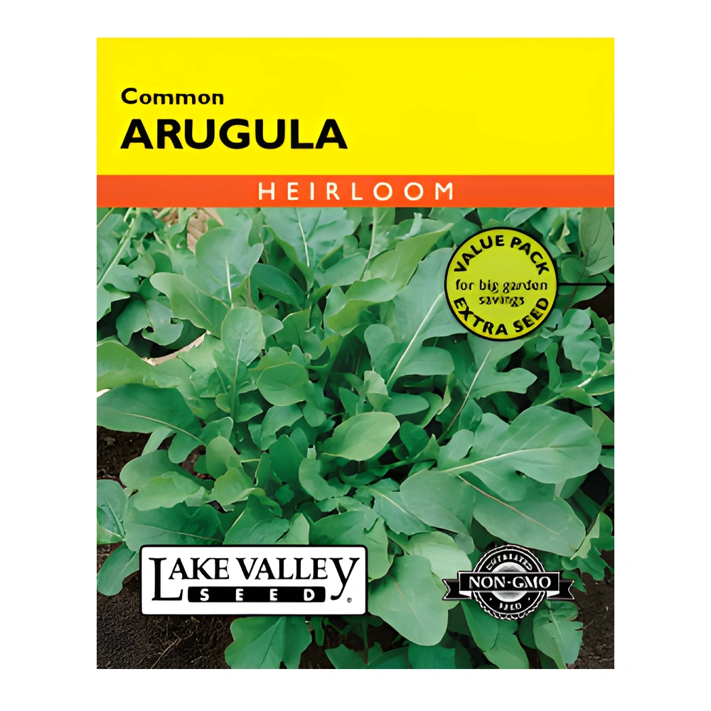 Common Arugula seeds