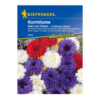 Cornflower Stars and Stripes